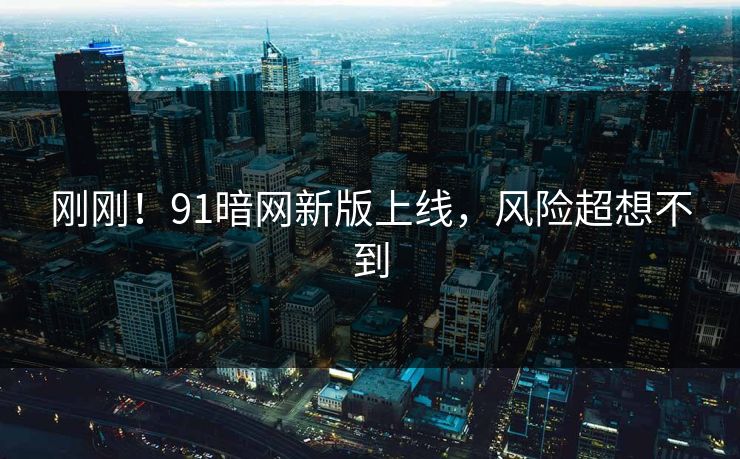 刚刚！91暗网新版上线，风险超想不到
