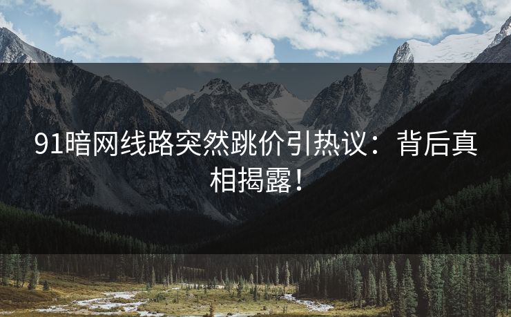 91暗网线路突然跳价引热议：背后真相揭露！