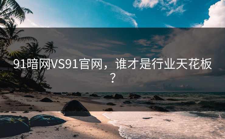 91暗网VS91官网，谁才是行业天花板？