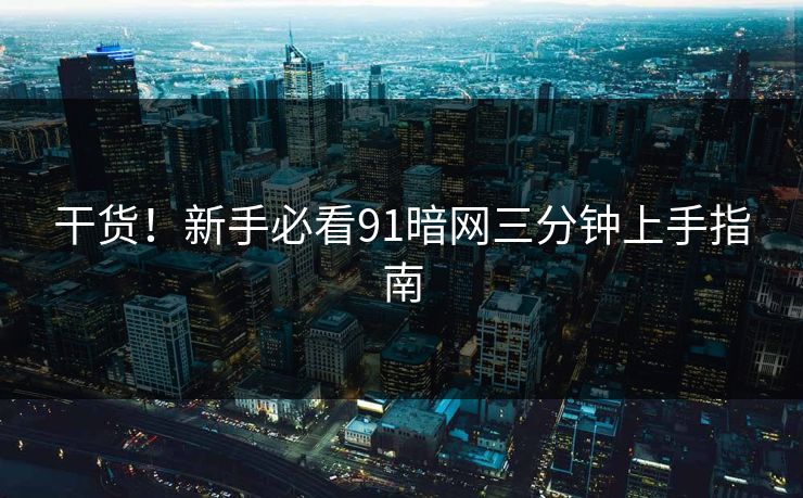 干货！新手必看91暗网三分钟上手指南