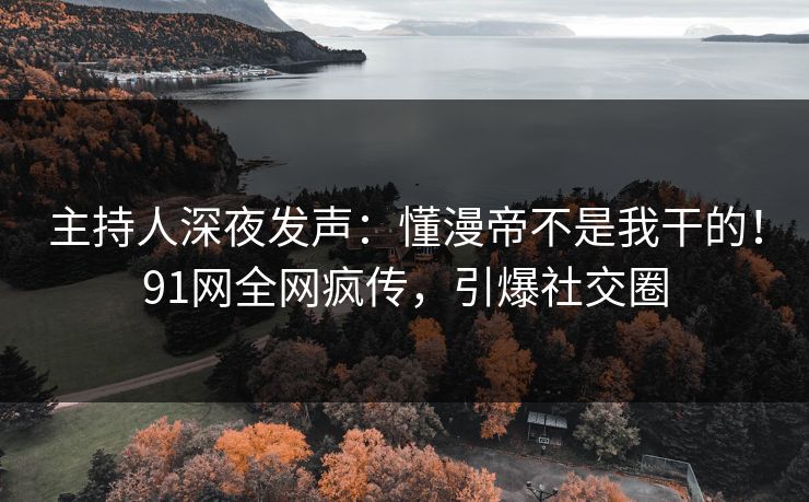 主持人深夜发声：懂漫帝不是我干的！91网全网疯传，引爆社交圈