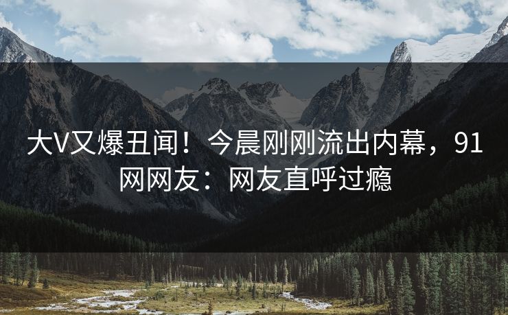 大V又爆丑闻！今晨刚刚流出内幕，91网网友：网友直呼过瘾