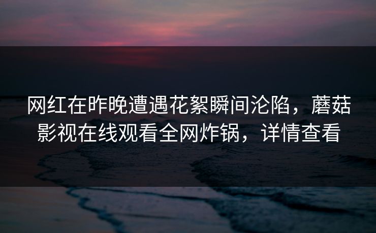 网红在昨晚遭遇花絮瞬间沦陷,蘑菇影视在线观看全网炸锅,详情查看