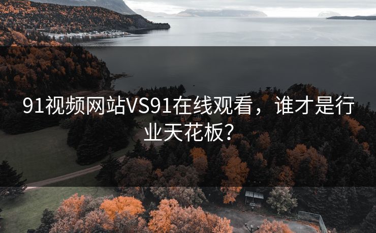 91视频网站VS91在线观看，谁才是行业天花板？