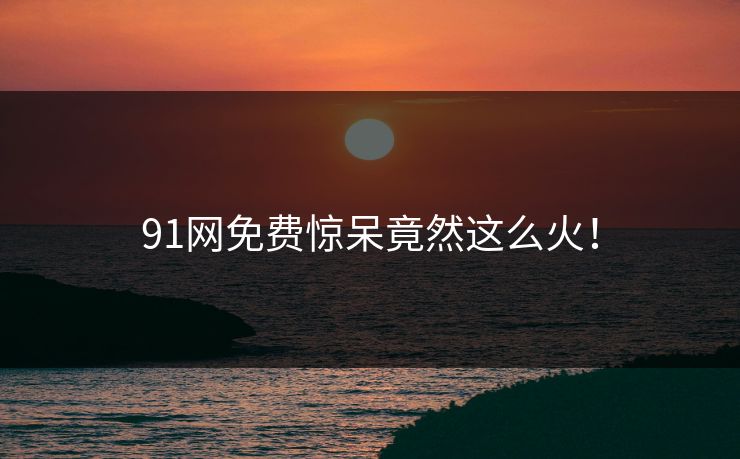 91网免费惊呆竟然这么火！