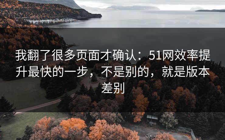 我翻了很多页面才确认：51网效率提升最快的一步，不是别的，就是版本差别